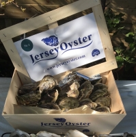 Jersey Oysters(Crassostrea Gigas) "asc" Exporters, Wholesaler & Manufacturer | Globaltradeplaza.com