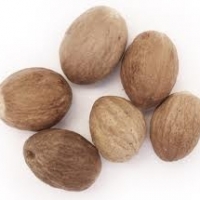 resources of Nutmeg &amp; Mace exporters