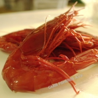 Deep Sea Scarlet Shrimps Exporters, Wholesaler & Manufacturer | Globaltradeplaza.com