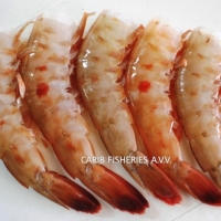 Pink &amp; Brown Shrimps Exporters, Wholesaler & Manufacturer | Globaltradeplaza.com