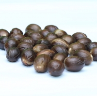 Nutmeg 100% Natural Exporters, Wholesaler & Manufacturer | Globaltradeplaza.com