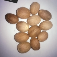 Nutmeg 100% Natural Exporters, Wholesaler & Manufacturer | Globaltradeplaza.com