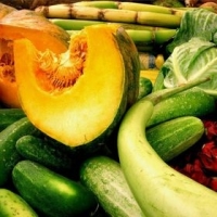 resources of Fresh Vegetables exporters