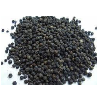 Black Pepper From Sri Lanka Exporters, Wholesaler & Manufacturer | Globaltradeplaza.com