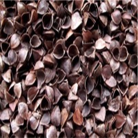 resources of Buckwheat Hulls exporters