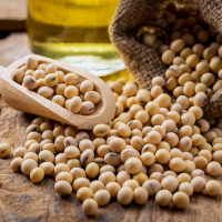 Brazilian Soybean Exporters, Wholesaler & Manufacturer | Globaltradeplaza.com