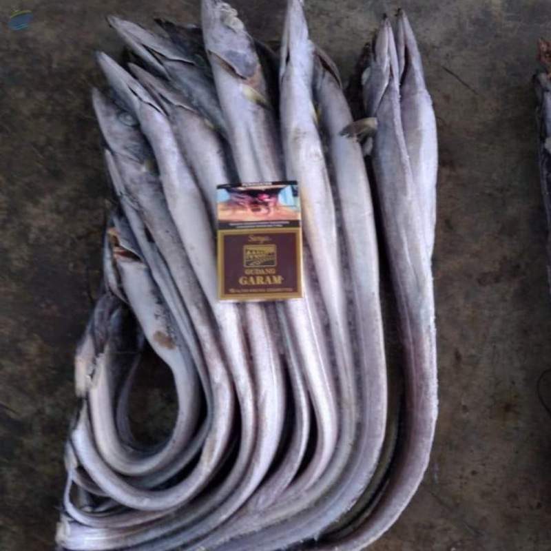 Frozen Ribbon Fish Exporters, Wholesaler & Manufacturer | Globaltradeplaza.com