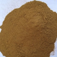 Dried Cinnamon Powder Exporters, Wholesaler & Manufacturer | Globaltradeplaza.com