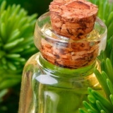 resources of Essential Oils And Spices exporters