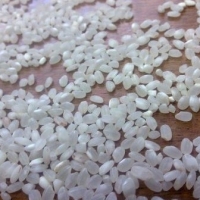 resources of Krasnodar Rice exporters
