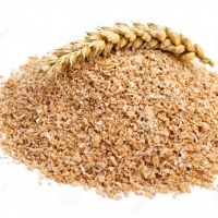 resources of Wheat Bran exporters