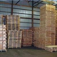 Epal/euro Wood Pallets Exporters, Wholesaler & Manufacturer | Globaltradeplaza.com