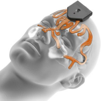 resources of Cranialmap 3.0 exporters