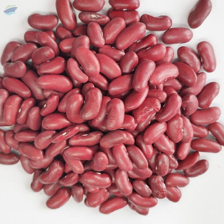 Red Kidney Beans exporter and supplier from India
