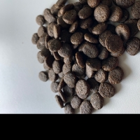 resources of Dog Food exporters