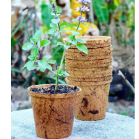 resources of Bio Coir Pots exporters