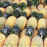 resources of Pineapple Golden Md2 exporters