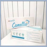 resources of Camellias Gloves exporters