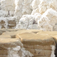 Cotton Comber Noil Exporters, Wholesaler & Manufacturer | Globaltradeplaza.com