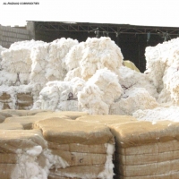 resources of Cotton Comber Noil exporters