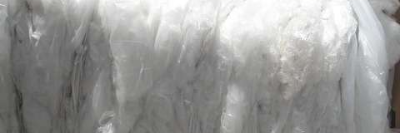 company-banner