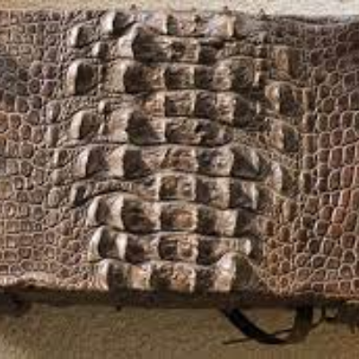 Crocodile Leather Exporters, Wholesaler & Manufacturer | Globaltradeplaza.com