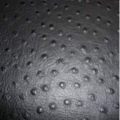 Emu Leather Exporters, Wholesaler & Manufacturer | Globaltradeplaza.com