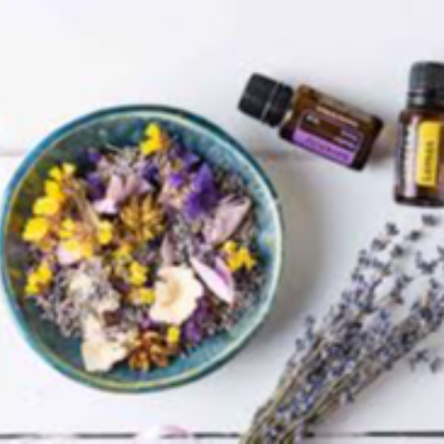 Air Fresheners Exporters, Wholesaler & Manufacturer | eximnext.com