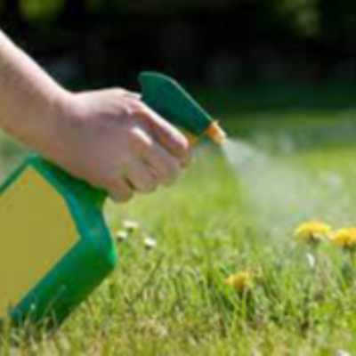 Herbicides Exporters, Wholesaler & Manufacturer | eximnext.com