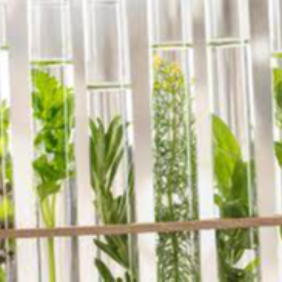 Aromatic Chemicals Exporters, Wholesaler & Manufacturer | Globaltradeplaza.com