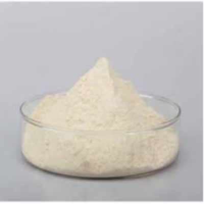 Gluten Powder Exporters, Wholesaler & Manufacturer | Globaltradeplaza.com