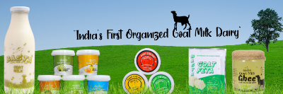 company-banner