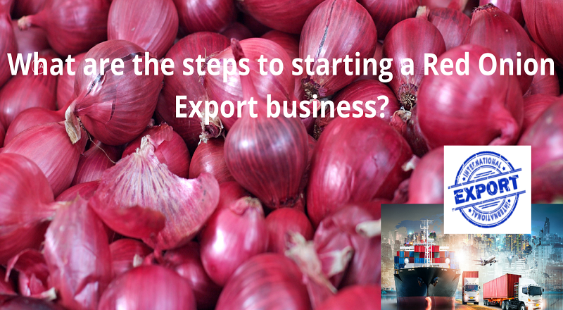 How you can start a Red Onion Export business?