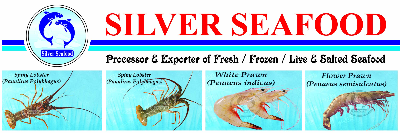company-banner