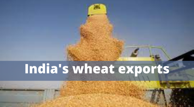 Wheat export business in India