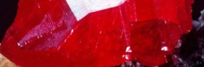 company-banner