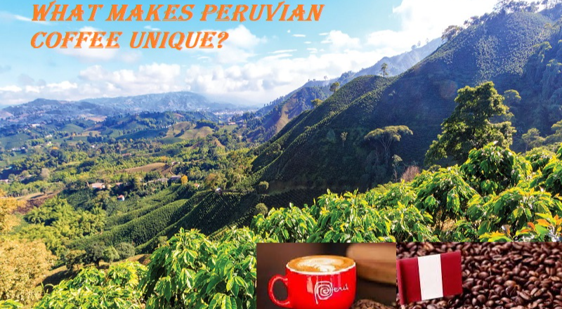 What is Peruvian Coffee and how it is special?