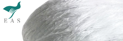 company-banner