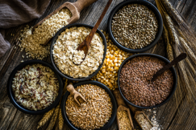 Vegetable Seeds Exporters, Wholesaler & Manufacturer | eximnext.com