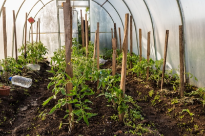 Soil Conditioners Exporters, Wholesaler & Manufacturer | eximnext.com