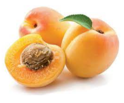 Apricot Exporters, Wholesaler & Manufacturer | eximnext.com