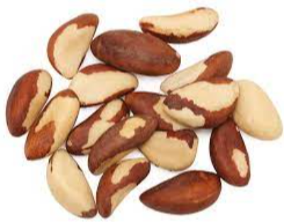 Brazil Nuts Exporters, Wholesaler & Manufacturer | eximnext.com