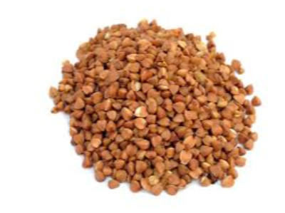 Buckwheat Exporters, Wholesaler & Manufacturer | eximnext.com
