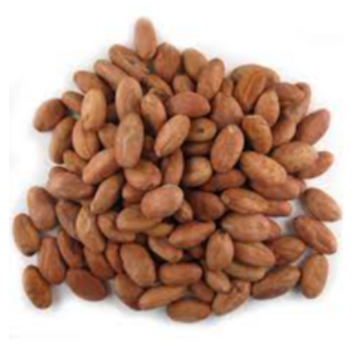 Cacao Nuts Exporters, Wholesaler & Manufacturer | eximnext.com