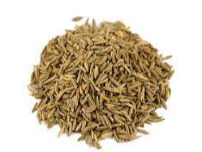 Caraway Seeds Exporters, Wholesaler & Manufacturer | eximnext.com