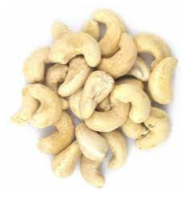 Cashew Nuts Exporters, Wholesaler & Manufacturer | eximnext.com
