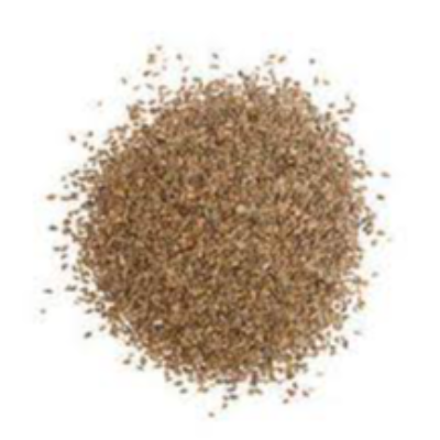 Celery Seeds Exporters, Wholesaler & Manufacturer | eximnext.com