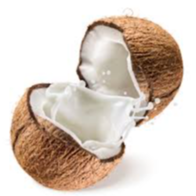 Coconut Exporters, Wholesaler & Manufacturer | eximnext.com