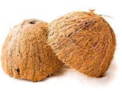 Coconut Shell Exporters, Wholesaler & Manufacturer | eximnext.com