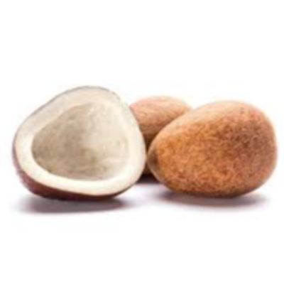 Copra Exporters, Wholesaler & Manufacturer | eximnext.com